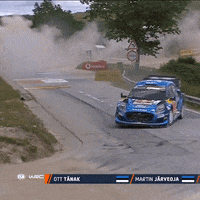 Sport Driving GIF by FIA World Rally Championship