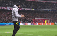 Champions League Football GIF by UEFA