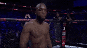 Mixed Martial Arts Sport GIF by UFC