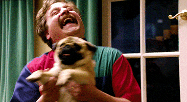 zach galifianakis laughing GIF