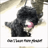 Doodle Foodie GIF
