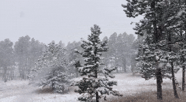 'Winter Conditions' Whiten Colorado Mountains