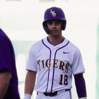 College Baseball Yes GIF by LSU Tigers
