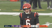 National Football League GIF by NFL