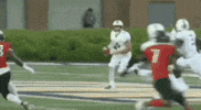 Football Touchdown GIF by JMUDukes