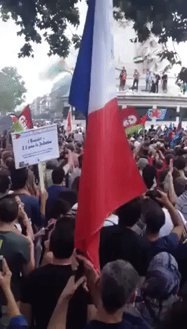 Pro-Palestinian Protesters Blocked by Police in Paris