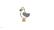 North Sea Seagull Sticker by buesum_urlaub