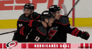 Ice Hockey Hug GIF by NHL