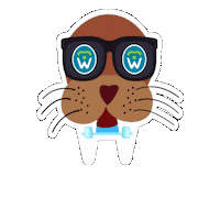 Chattanoogabraces Sticker by Webb Family Orthodontics
