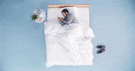 sleep pillow GIF