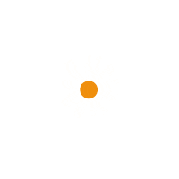 maitacreative doodle flor margarita transparente Sticker