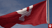 College Sports Sport GIF by Indiana Hoosiers