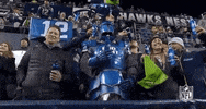 2018 Nfl Football GIF by NFL