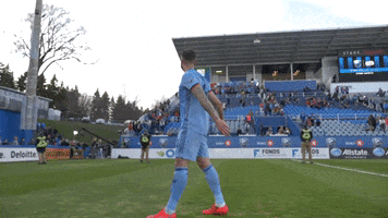 Maxime Chanot Mls GIF by NYCFC