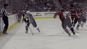 fly flying GIF by Capitals