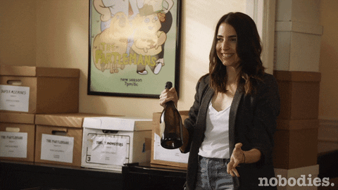 celebrate tv land GIF by nobodies.
