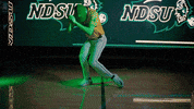 Ndsu Baseball GIF by NDSU Athletics