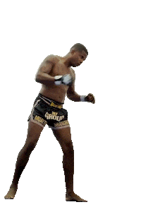 Fight Workout Sticker by Hudson Rocha