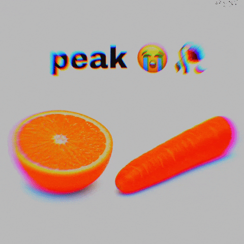 Orange Carrot GIF