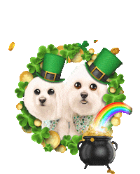 St Patricks Day Dog Sticker by HammyandBrody