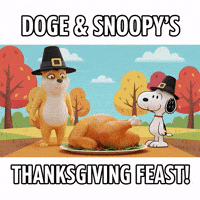 GIF by Doge Pound