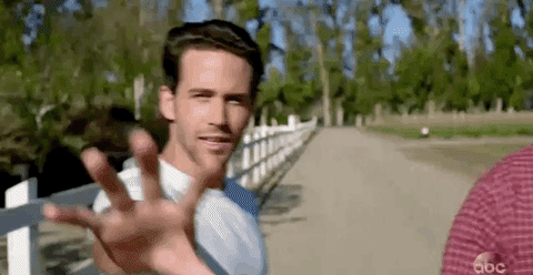 season 16 GIF by American Idol