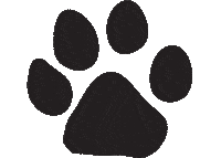 lion paw Sticker by Lindenwood University