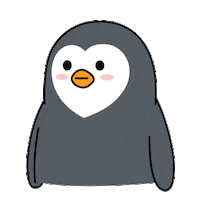 Shinhancard shinhancard 신한카드 판귄 Sticker