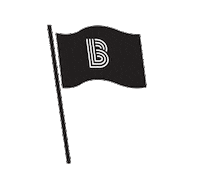 flag waving Sticker by Big Brothers Big Sisters
