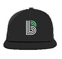 logo hat Sticker by Big Brothers Big Sisters