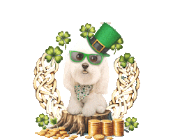 St Patricks Day Dog Sticker by HammyandBrody