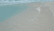 the beach GIF