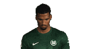 Look Up Vfl Wolfsburg Sticker by Bundesliga