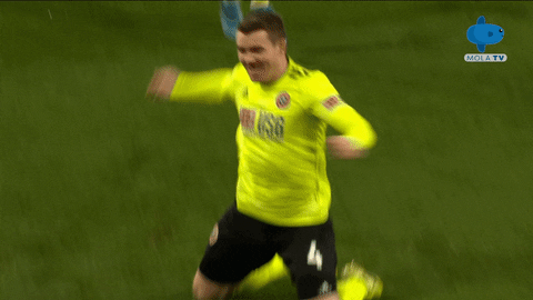 GIF by MolaTV