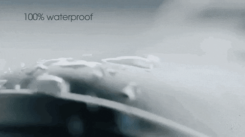 songsususu giphygifmaker GIF