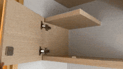 吉貓寓所 GIF by Choc Ye
