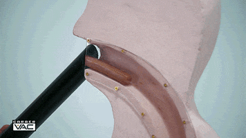 I Think You Should Leave Hot Dog GIF by NETFLIX