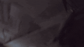 Taurean Prince Reaction GIF by Brooklyn Nets