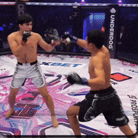 Таджикистан GIF