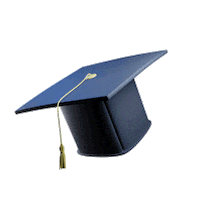 PlatinumMarketing hat bounce study platinummarketing Sticker