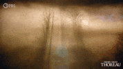 Simplify Henry David Thoreau GIF by PBS