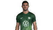 Football Love Sticker by VfL Wolfsburg