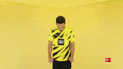 Happy Borussia Dortmund GIF by Bundesliga