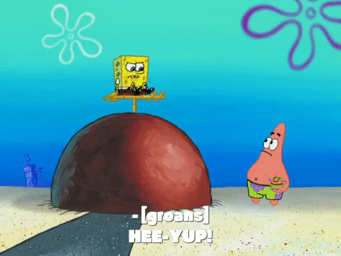 season 7 episode 6 GIF by SpongeBob SquarePants