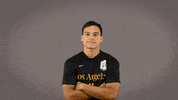 Division Ii Soccer GIF by Cal State LA Golden Eagles