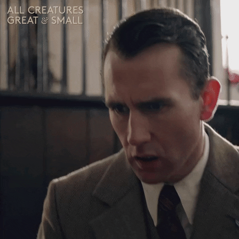 allcreaturestv animals horror shock yorkshire GIF