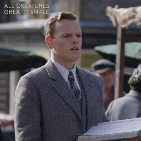 allcreaturestv animals writing pen yorkshire GIF