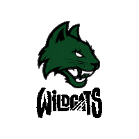 Basket Fip Sticker by Wildcats Basketball Motta