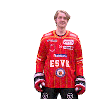 Del2 Allgäu Sticker by ESV Kaufbeuren // Buron Joker