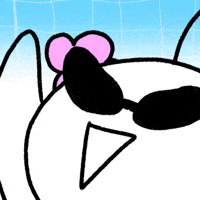 Party Yes GIF